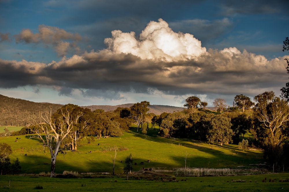 King Valley Scenery