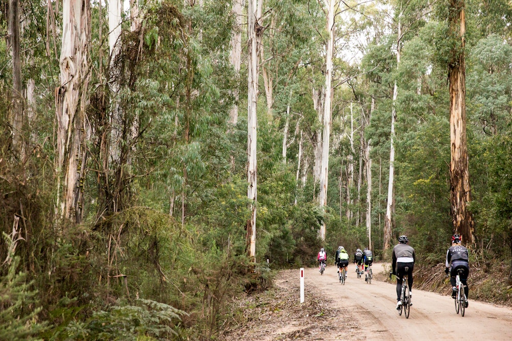 Shimano weekend king valley gravel track