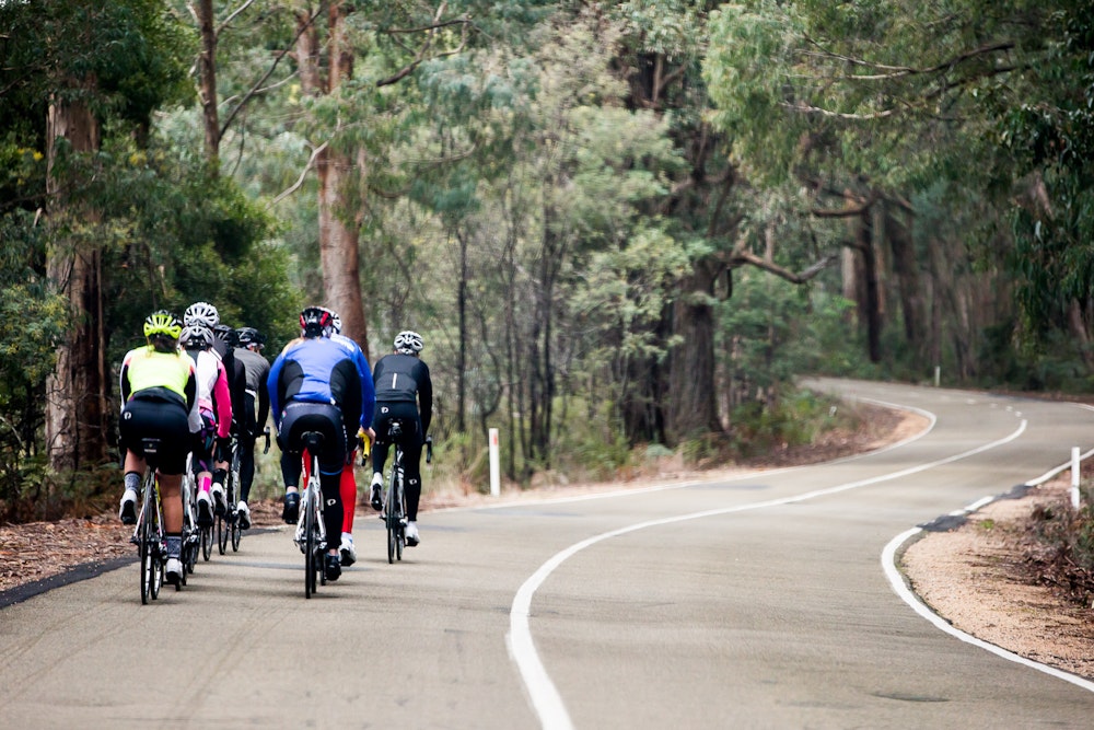 bunch riding down the hill king valley