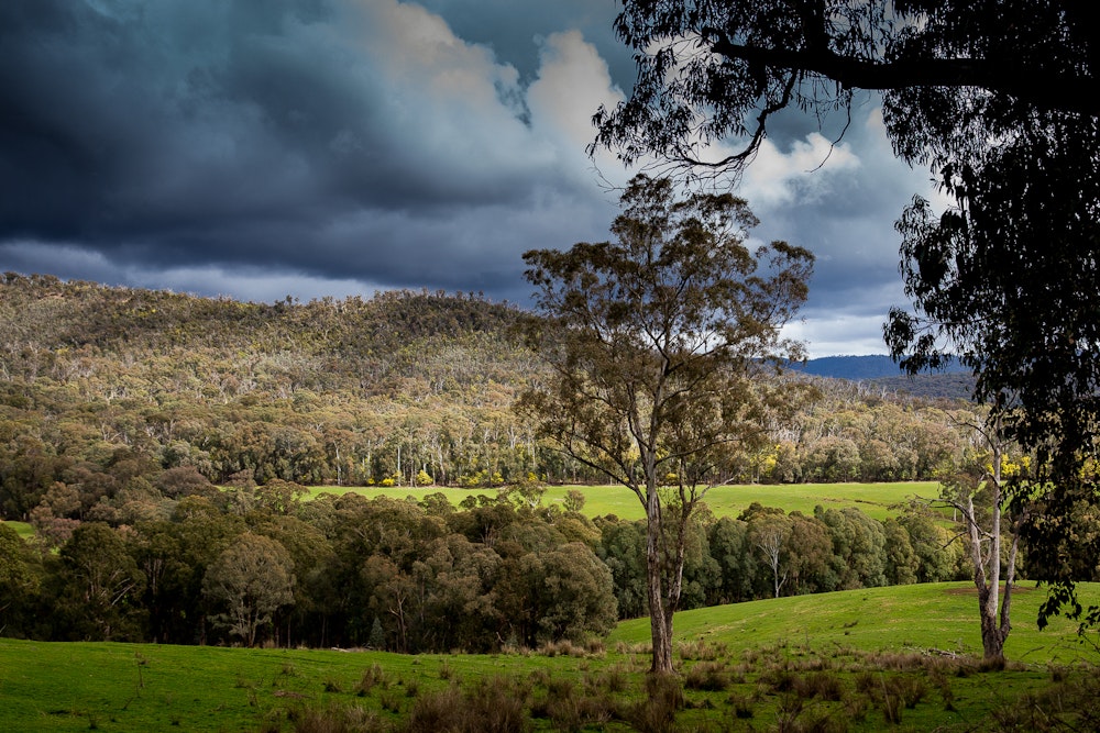 landscape in the king valley